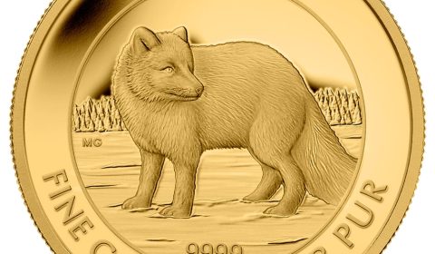 2014 Gold Royal Canadian Mint Arctic Fox (1/4 Oz.)