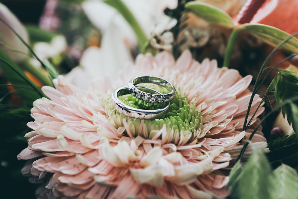 Palladium wedding rings placed on a pink flower